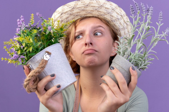 When “Herbal” Turns Harmful: Chennai Woman Loses Earlobes After Beauty Parlour Acid Treatment